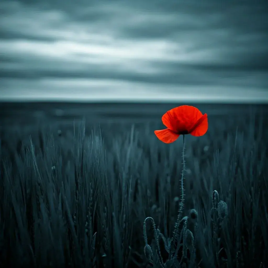 lonely