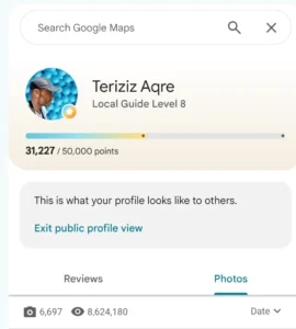 Google Maps Profile